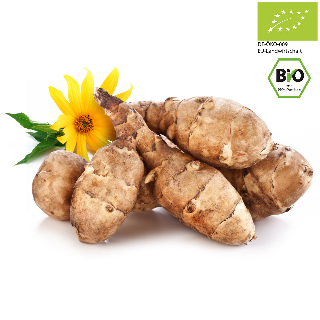 aufbewahrung topinambur Bio Topinambur – Frische Kontor