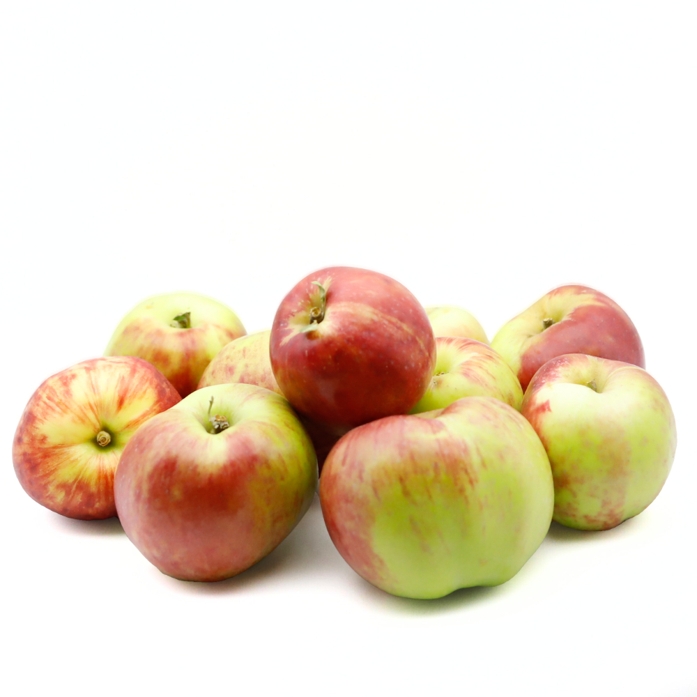 Äpfel (Gravensteiner)