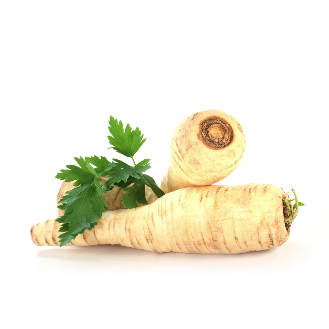 Petersilienwurzeln
