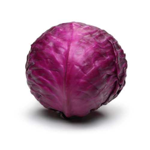 Rotkohl