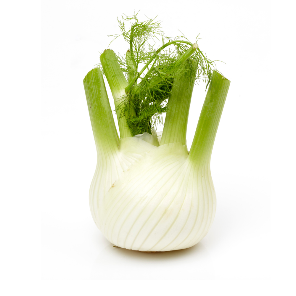 Fenchel