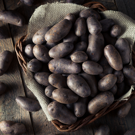 Bio Schwarze Ungarin Kartoffeln