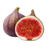 Feigen