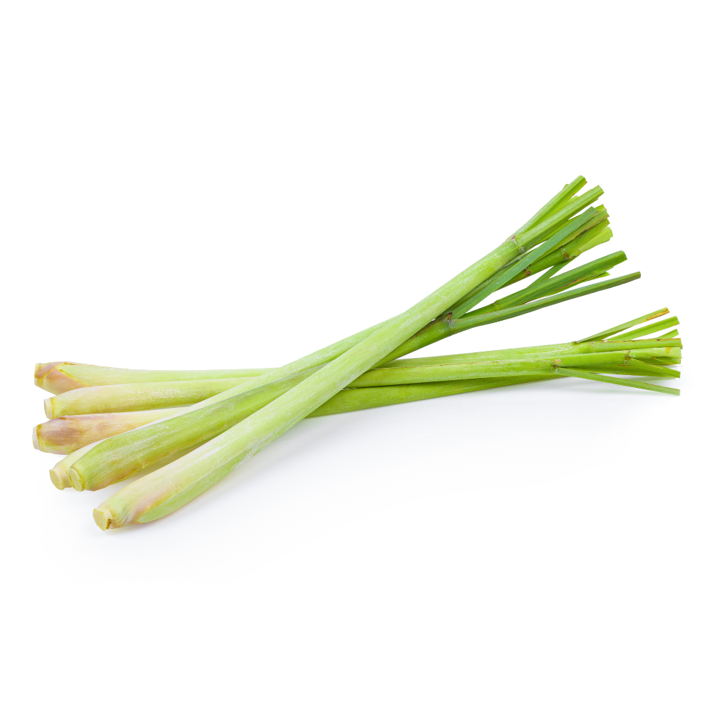 Zitronengras